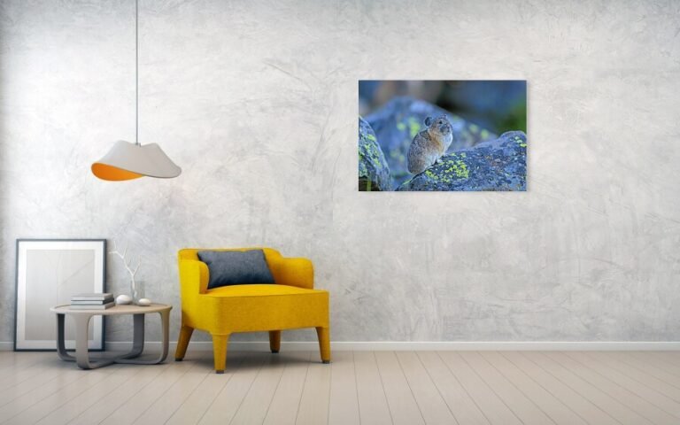Fine art photo print example in living room
