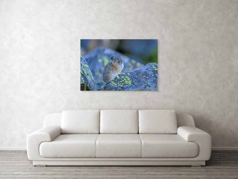 Fine art photo print example in living room