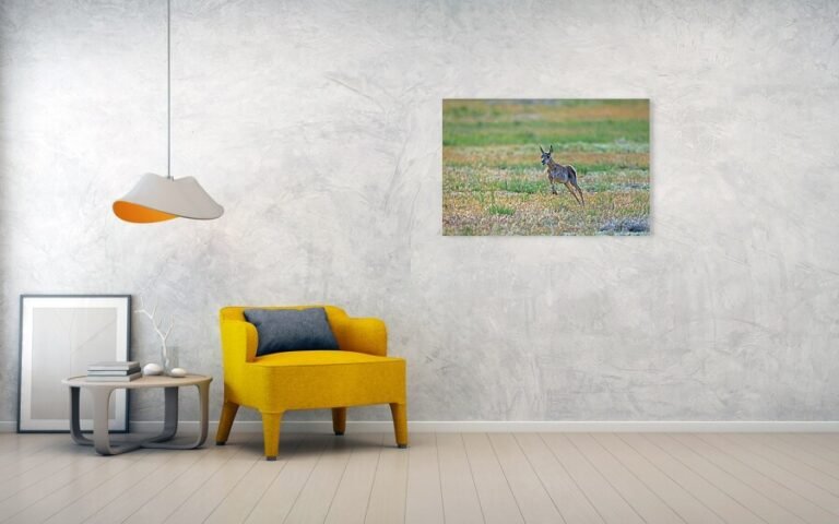Fine art photo print example in living room