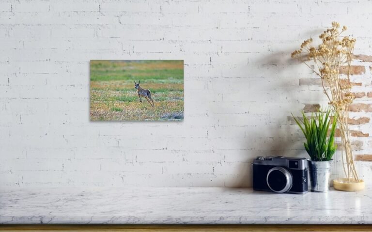 Fine art photo print example in living room