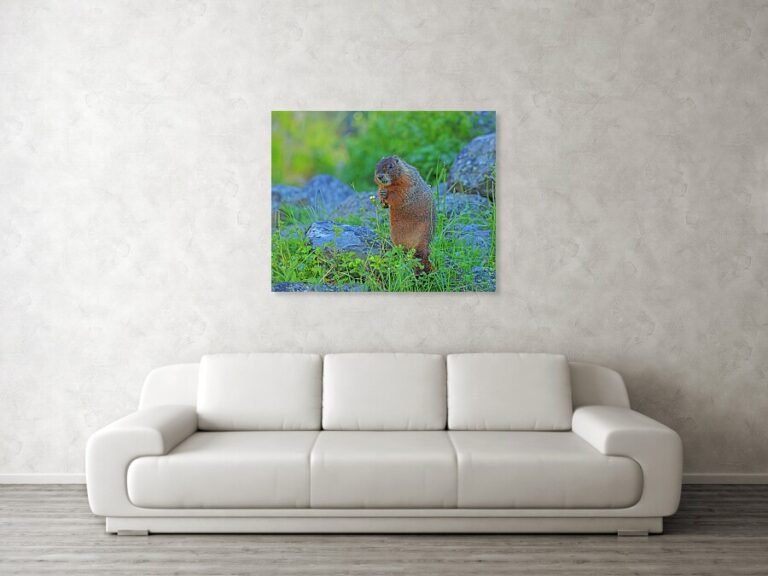 Fine art photo print example in living room