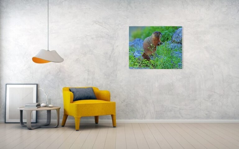 Fine art photo print example in living room
