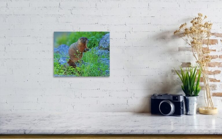 Fine art photo print example in living room
