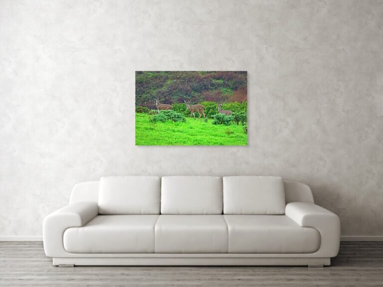 Fine art photo print example in living room