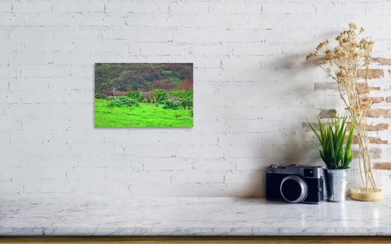 Fine art photo print example in living room