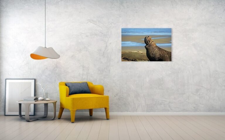 Fine art photo print example in living room