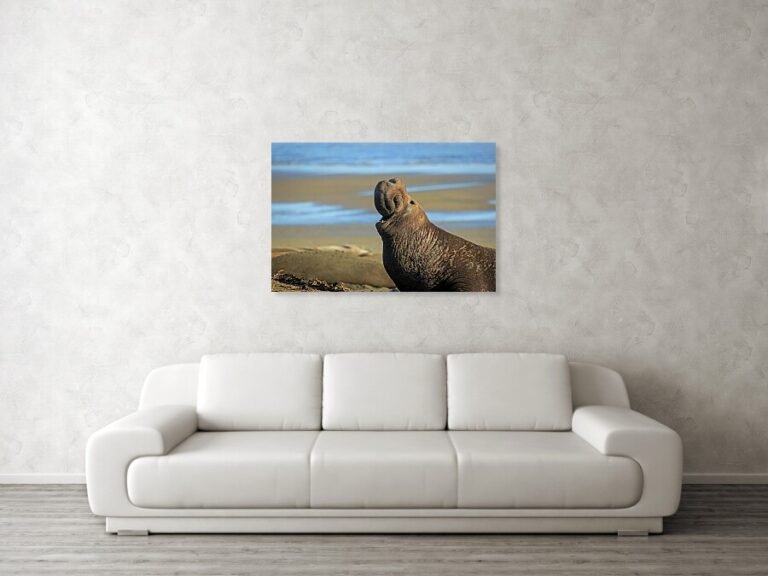 Fine art photo print example in living room