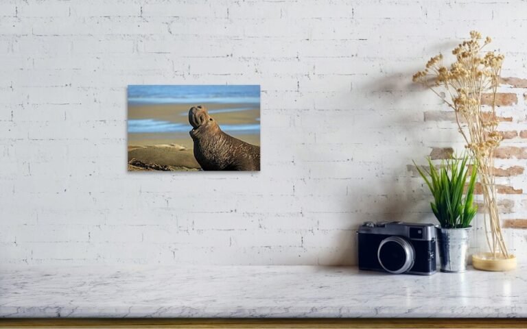 Fine art photo print example in living room
