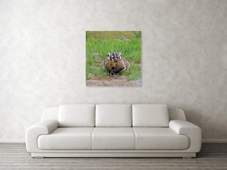 Fine art photo print example in living room