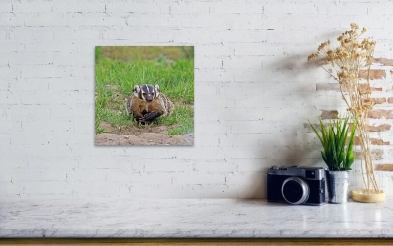 Fine art photo print example in living room