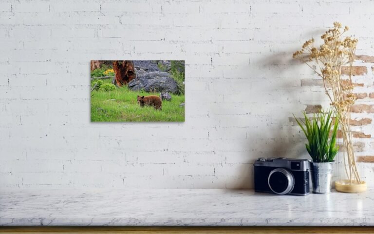 Fine art photo print example in living room