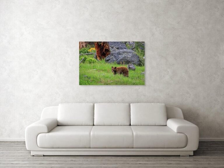 Fine art photo print example in living room