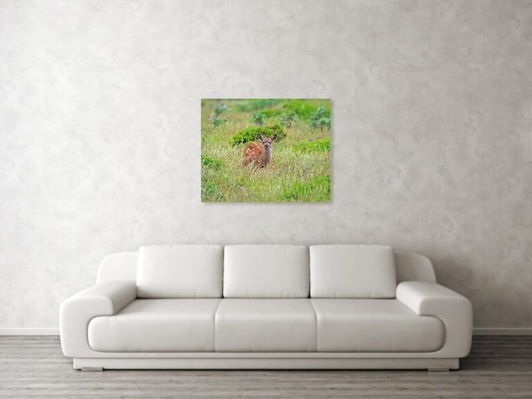 Fine art photo print example in living room