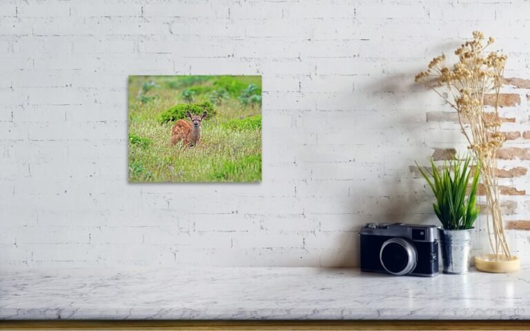 Fine art photo print example in living room