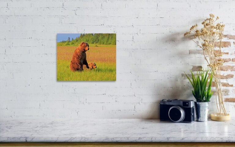 Fine art photo print example in living room