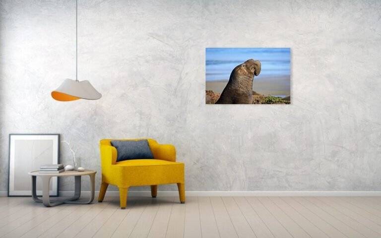 Fine art photo print example in living room