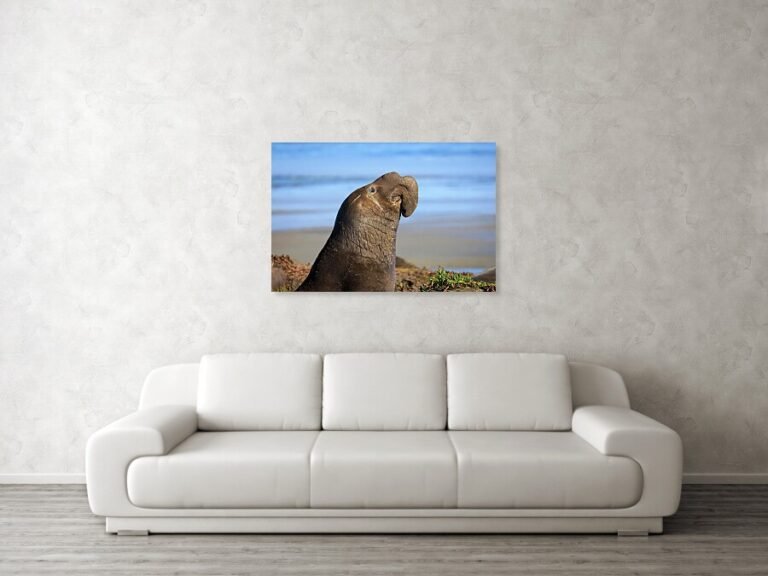 Fine art photo print example in living room