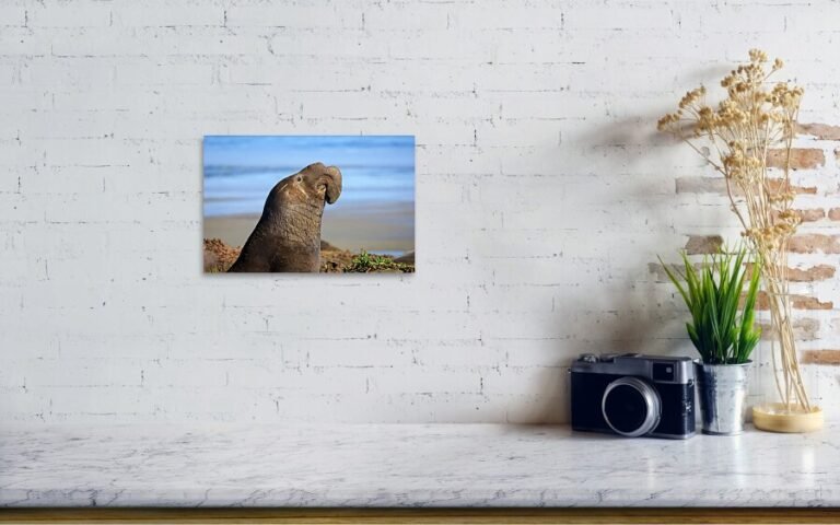 Fine art photo print example in living room