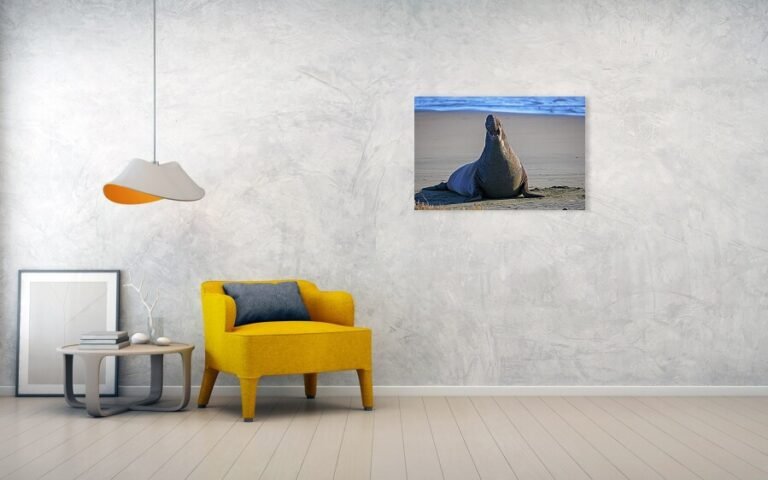 Fine art photo print example in living room
