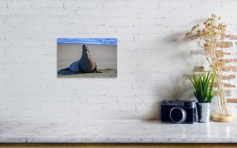Fine art photo print example in living room