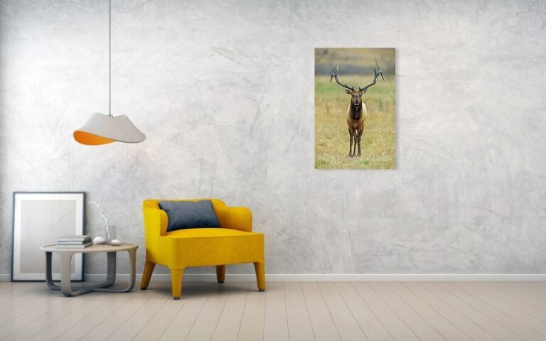 Fine art photo print example in living room