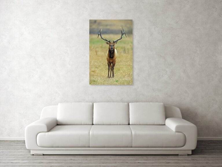 Fine art photo print example in living room