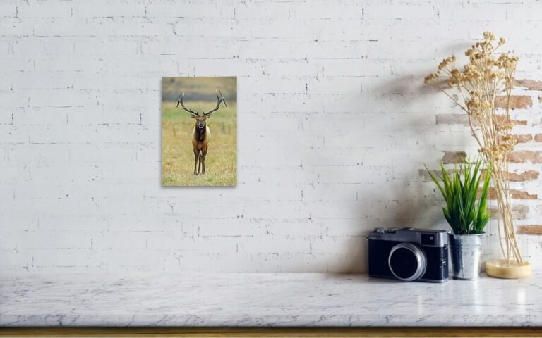 Fine art photo print example in living room