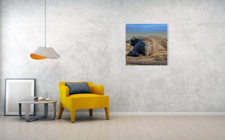 Fine art photo print example in living room