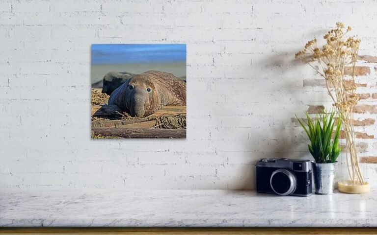 Fine art photo print example in living room