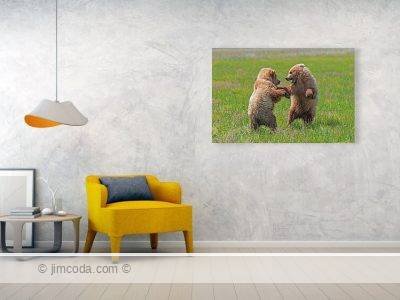 Brown Bear Metal Print