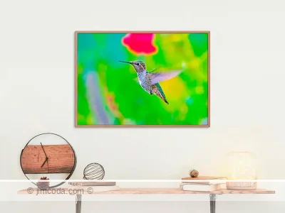 Bird - framed print