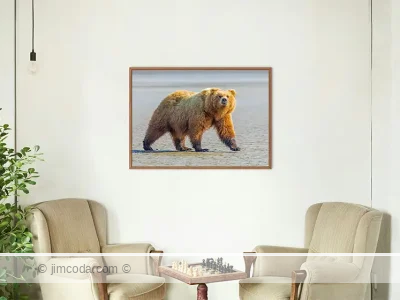 Brown Bear Framed