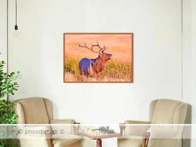 Elk - framed print