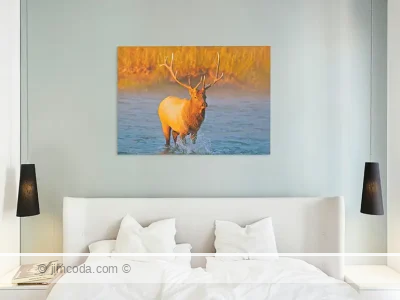 Elk - metal print