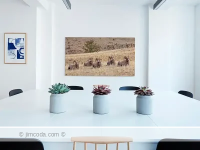 Acrylic print example of a row of bighorn rams resting on the McMinn Bench portion of Mount Everts in Yellowstone National Park.