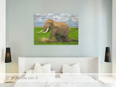 Metal print example of a big bull elephant shows some temperament in Amboseli National Park.