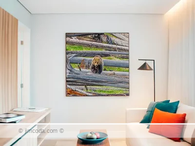 Grizzly Bear Framed Print