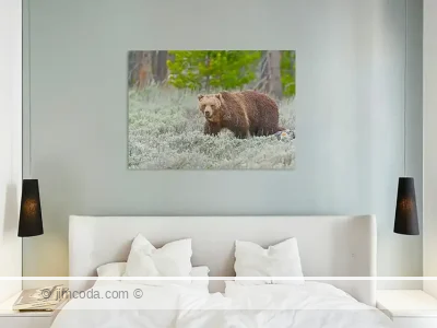 Grizzly Bear Metal Print