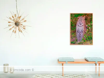 leopard framed print