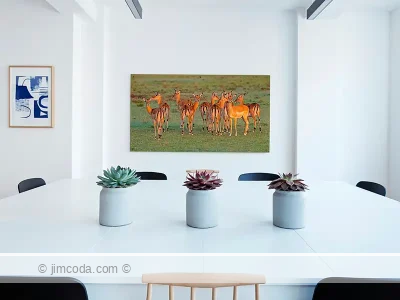Mammals - acrylic print