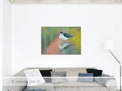Shorebird - metal print