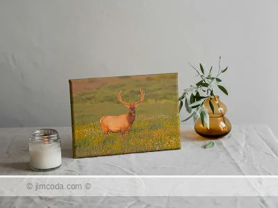 Tule elk - canvas print