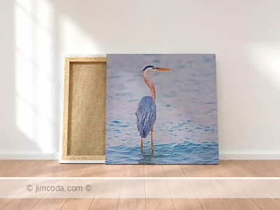 Wading Birds - canvas print