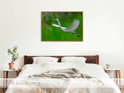 Wading Birds - framed print