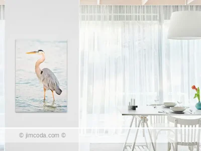 Wading birds - metal print