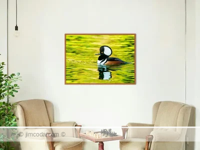 Waterfowl - framed print